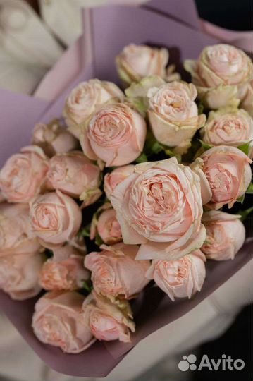 Букет пионовидных кустовых роз бомбастик