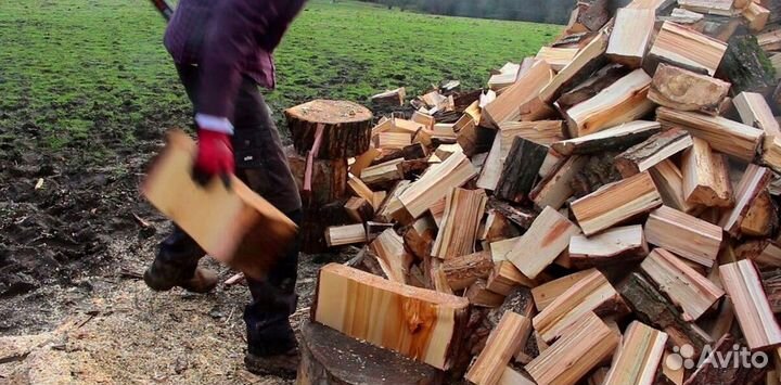 Дрова на дачу в баню