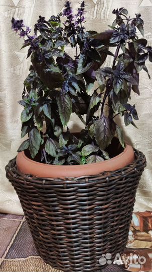 Кашпо из ротанга ручная работа