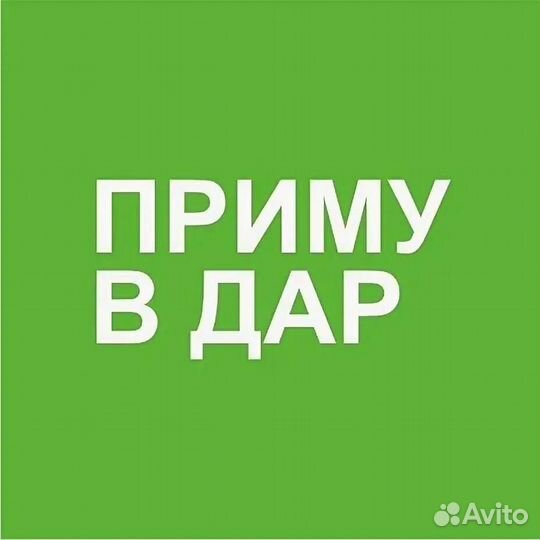 Комнатные цветы бесплатно