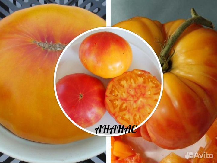 Семена коллекционных томатов крупноплодные и бифы