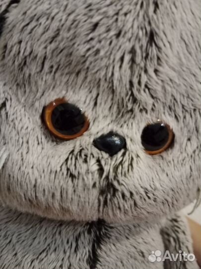 Бейби Басик