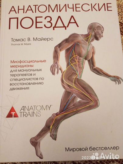 книга анатомические поезда. анатомические поезда 4 е издание. анатомические поезда книга. книга анатомические поезда. майерс книга мышечные цепи.