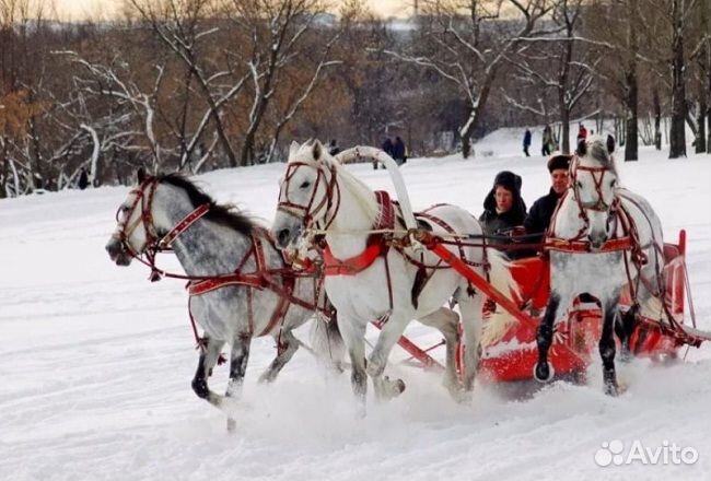 Новогодние праздники 2024 в Политотделе
