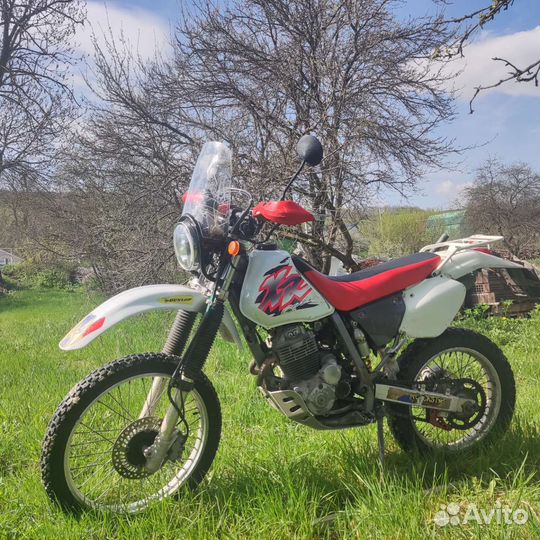 Honda XR250