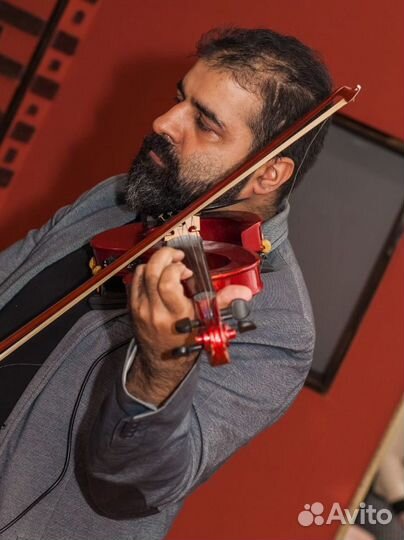 Скрипач/музыкант/живая музыка