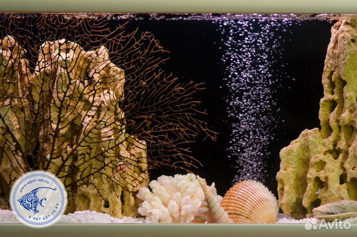 Обслуживание аквариума в офисе и дома