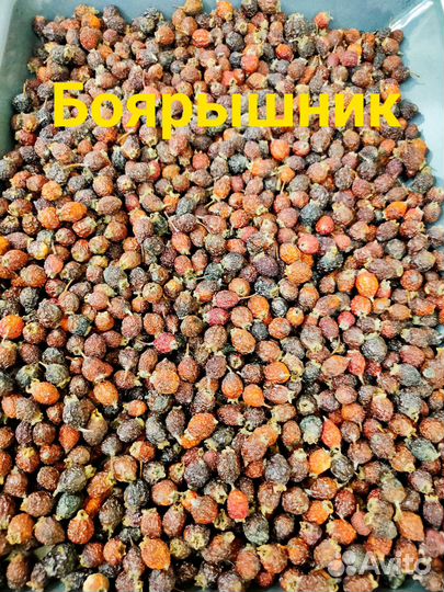 Боярышник (1 кг). Шиповник (1 кг)
