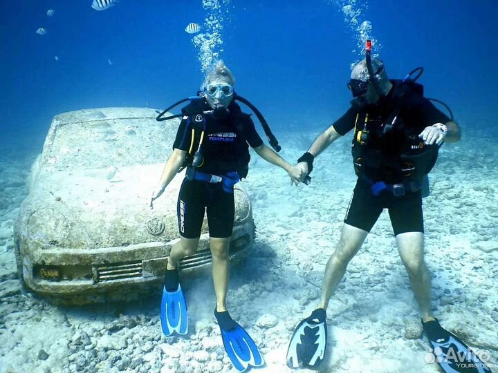 Дайвинг Адлер