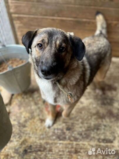 Забери меня домой