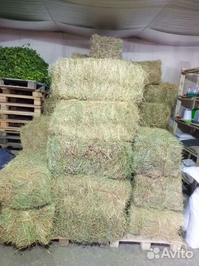 Сено в тюках разнотравие луговое