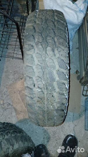 Medved Я-471 31/10.5 R31