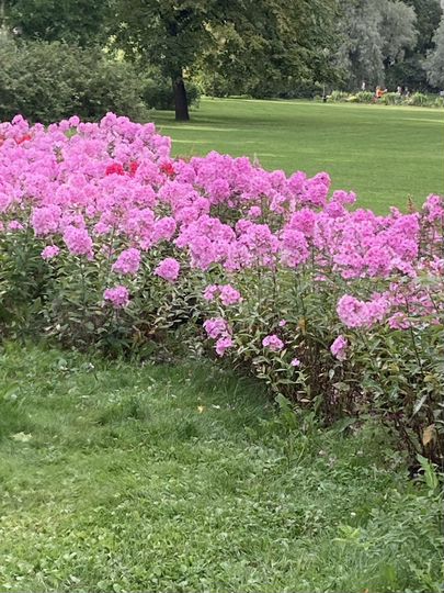 Участок 6,15 га (СНТ, ДНП)