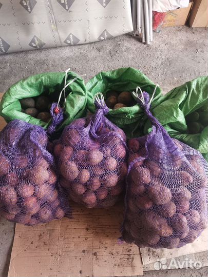 Продам картофель домашний