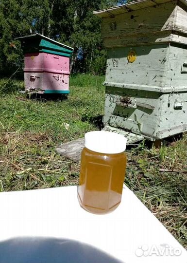 Мед оптом от пчеловода
