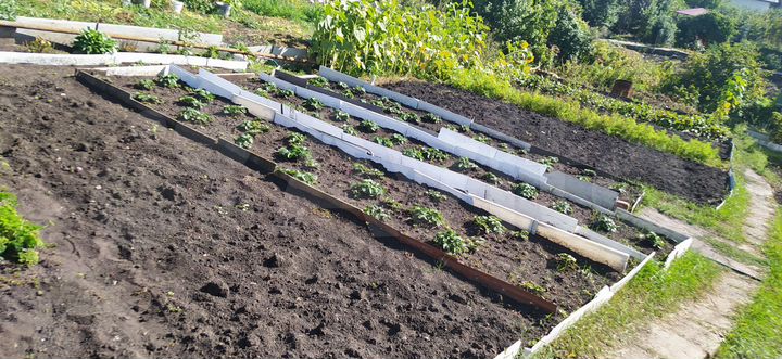 Дом 20 м² на участке 6 сот.