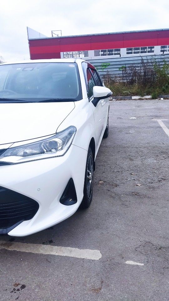 Toyota Corolla Fielder: фото владельца