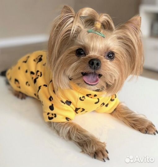 Флисовая кофта для собак/кошек (щенков/котят)