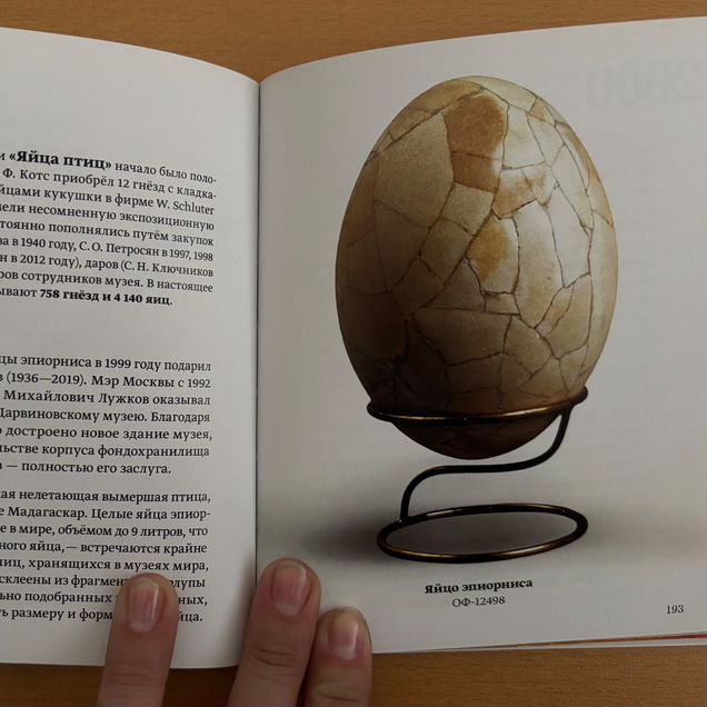 Книга «116 историй о музейных предметах»