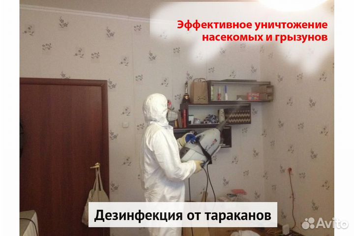 Уничтожение клопов тараканов клещей