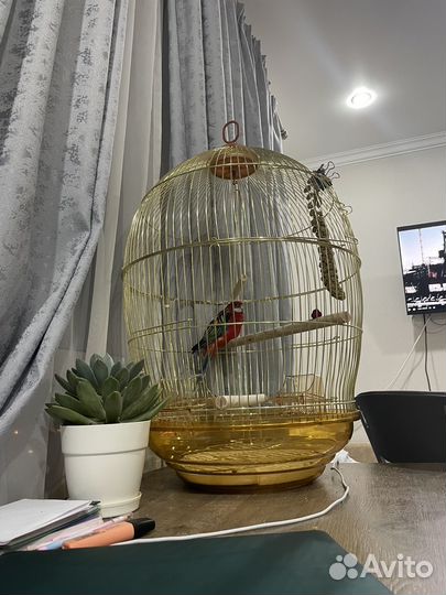 Клетка для попугая