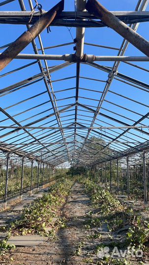 Комплектующие для теплицы антрацит