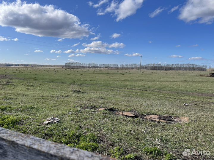 Фермерское хозяйство