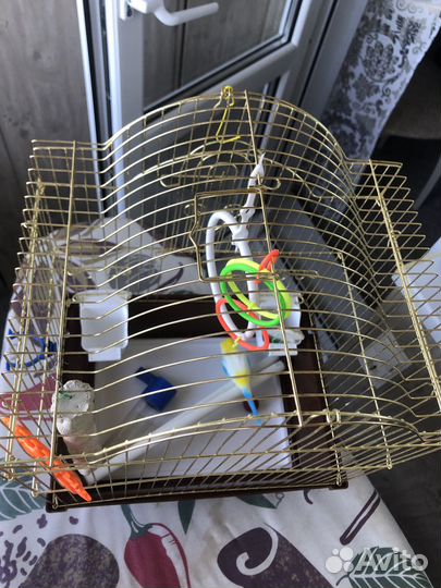 Клетка для попугая