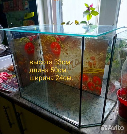 Аквариум