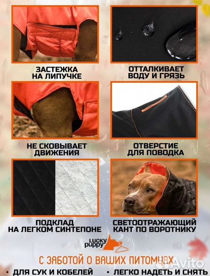 Попона для собак,куртка, комбинезон новая