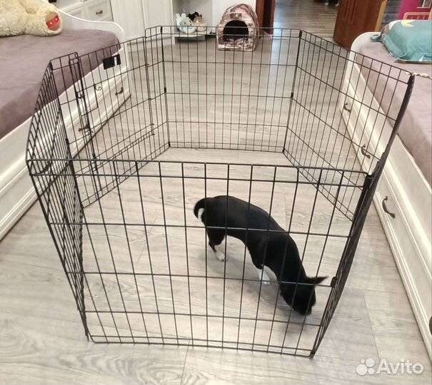 Клетка вольер для собак