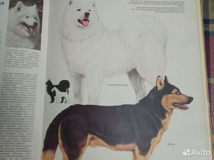 Книга Ваша Собака Джоан Палмер