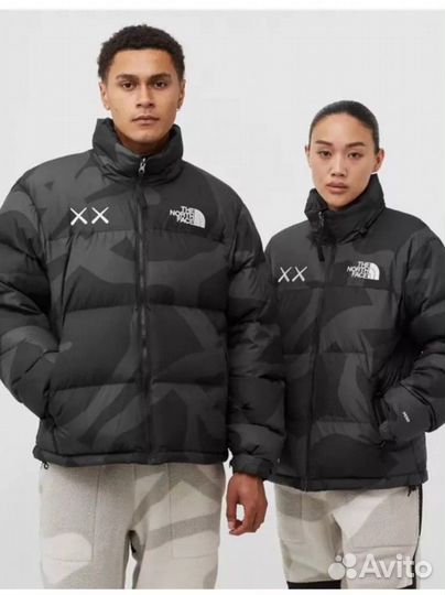 Куртка the north face 700 kaws