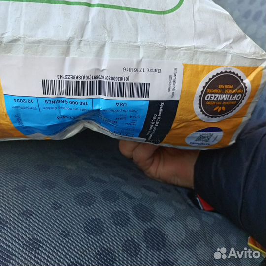 Семена подсолнечника