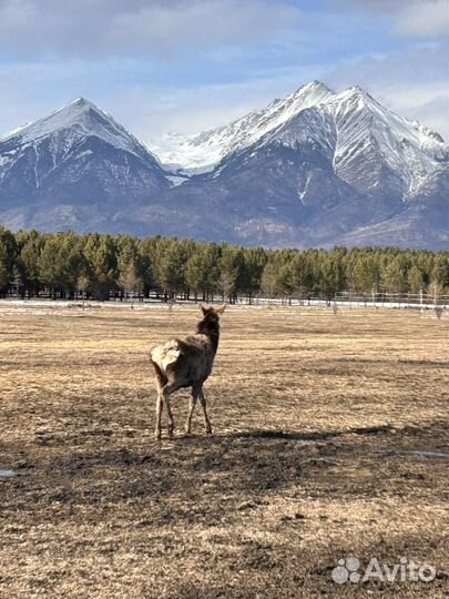 Праздники и мероприятия