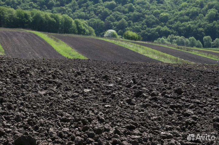 Чернозем с доставкой