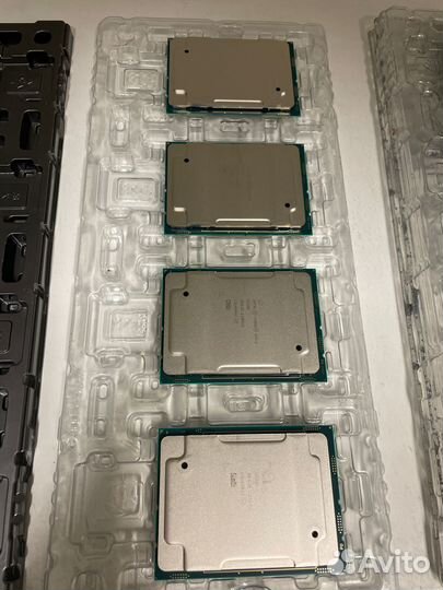 Xeon Gold