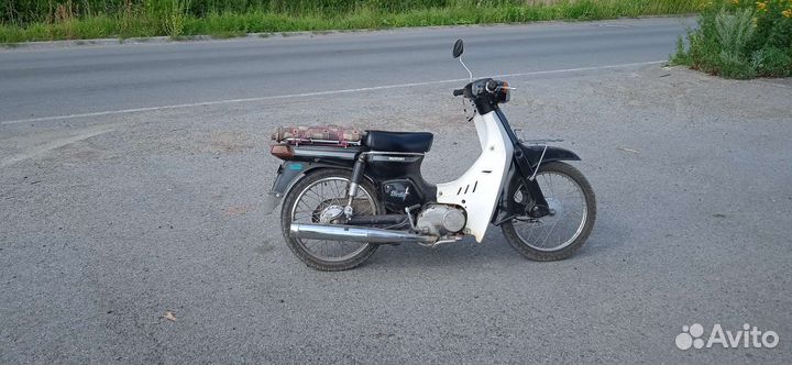 Suzuki birdie 2 tacta
