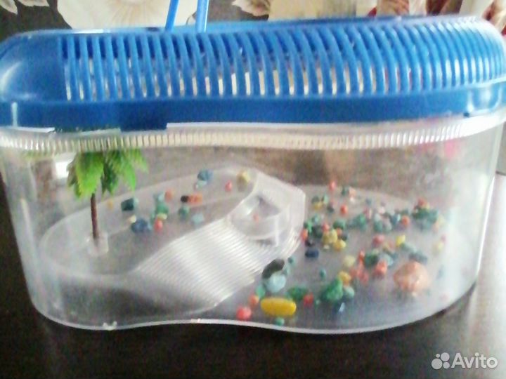 Контейнер для черепахи мало бу пластик