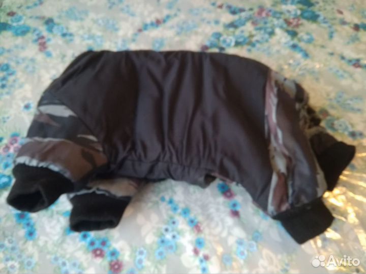 Собачий комбинезон