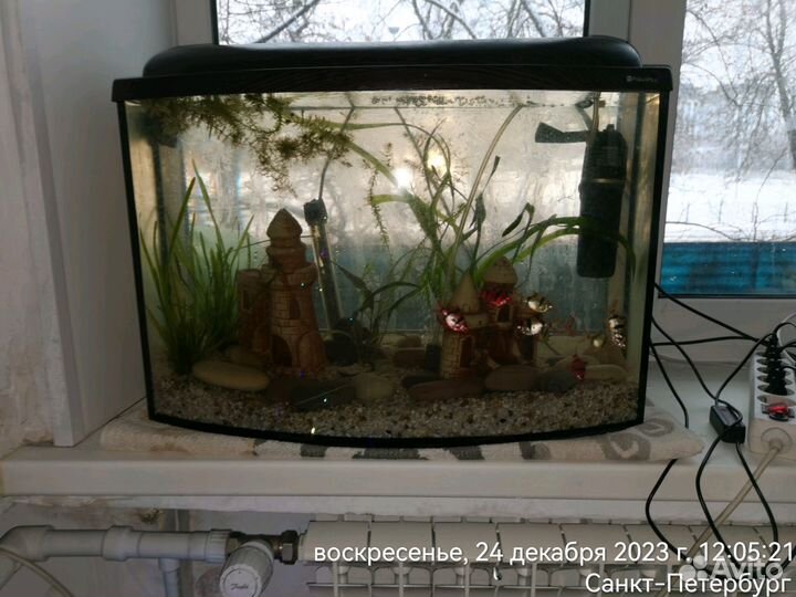 Аквариумы