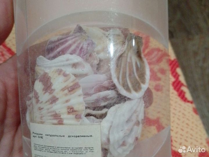 Ракушки для декора