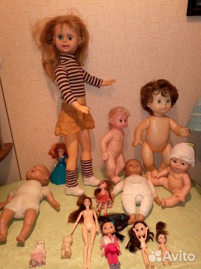 Куклы много