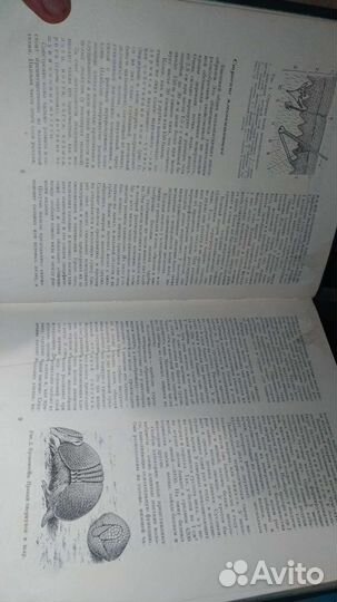 Жизнь животных, том 6