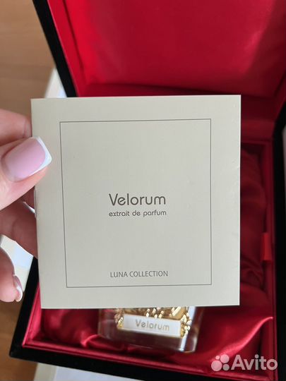 Tiziana terenzi velorum