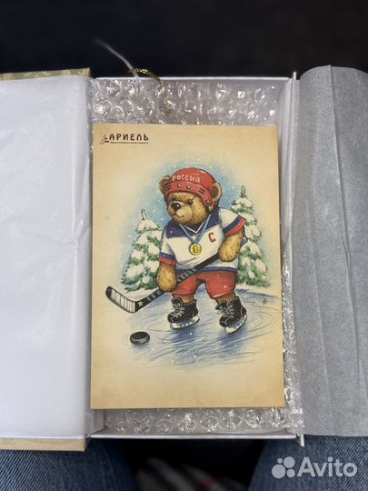 Мишка хоккеист Ариель