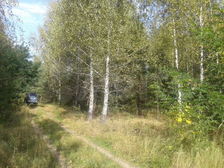 Участок 30 сот. (СНТ, ДНП)