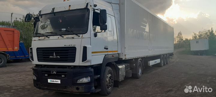 МАЗ 544019-1421-031 с полуприцепом, 2014