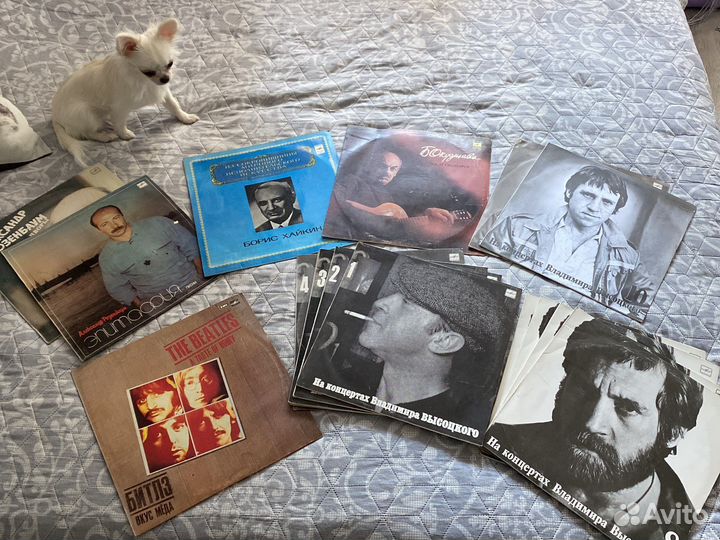 Виниловые пластинки beatles, Высоцкий, Розенбаум