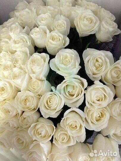 Розы Цветы Букеты 25 51 151 201 101 301 501 опт